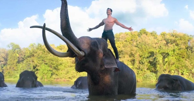 Junglee full deals movie